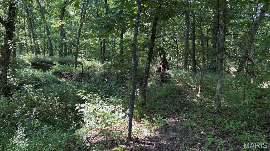 23036 Carlyle Road Property Photo 88