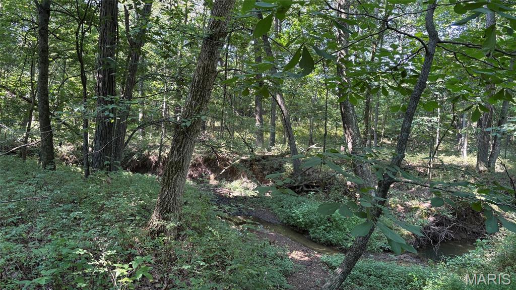 23036 Carlyle Road Property Photo 89