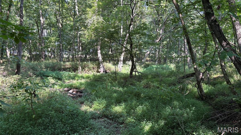 23036 Carlyle Road Property Photo 90