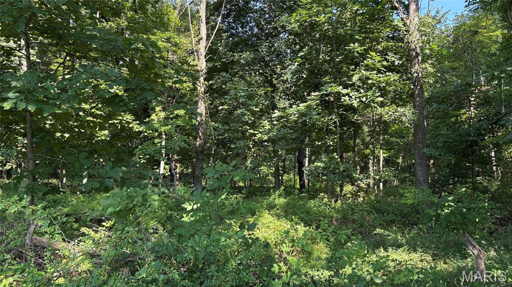 23036 Carlyle Road Property Photo 92