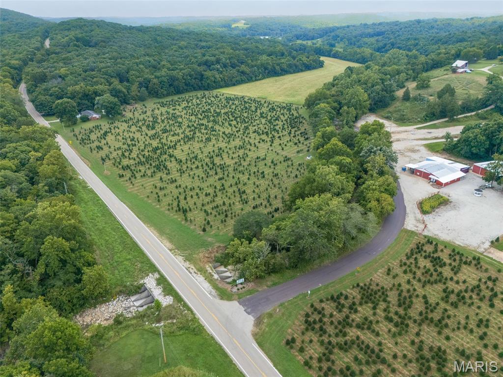 14560 Dry Fork Road Property Photo 15