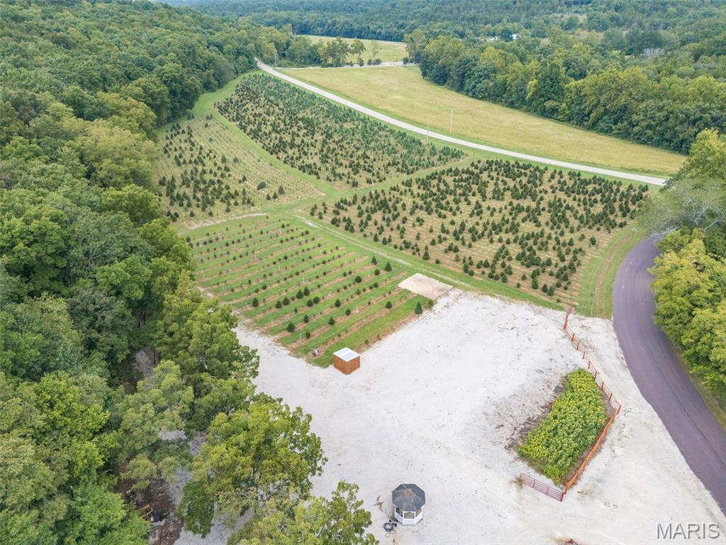 14560 Dry Fork Road Property Photo 16