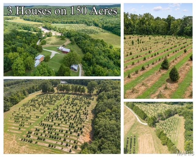 14560 Dry Fork Road Property Photo 17