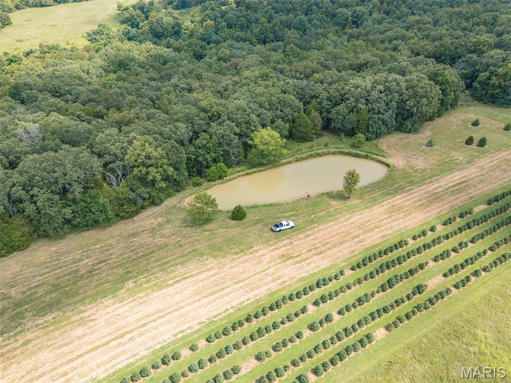 14560 Dry Fork Road Property Photo 22
