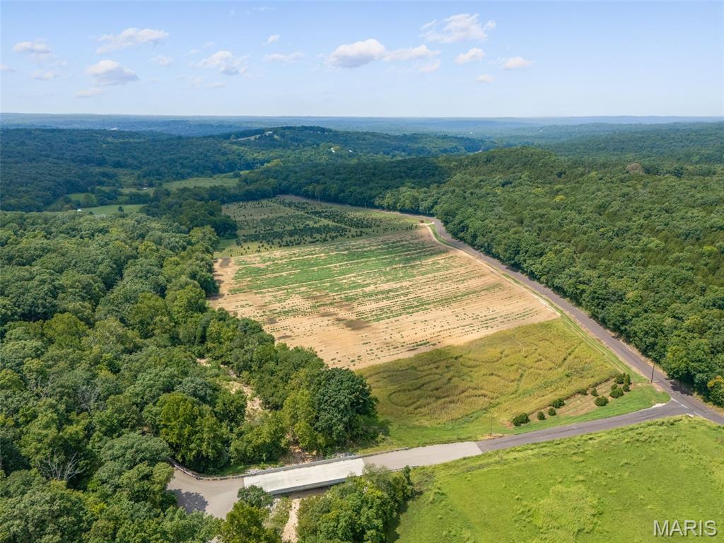 14560 Dry Fork Road Property Photo 23