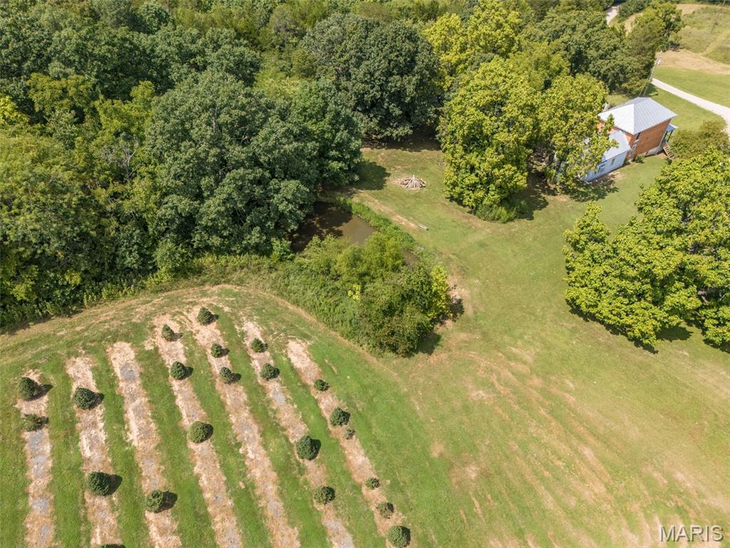 14560 Dry Fork Road Property Photo 59