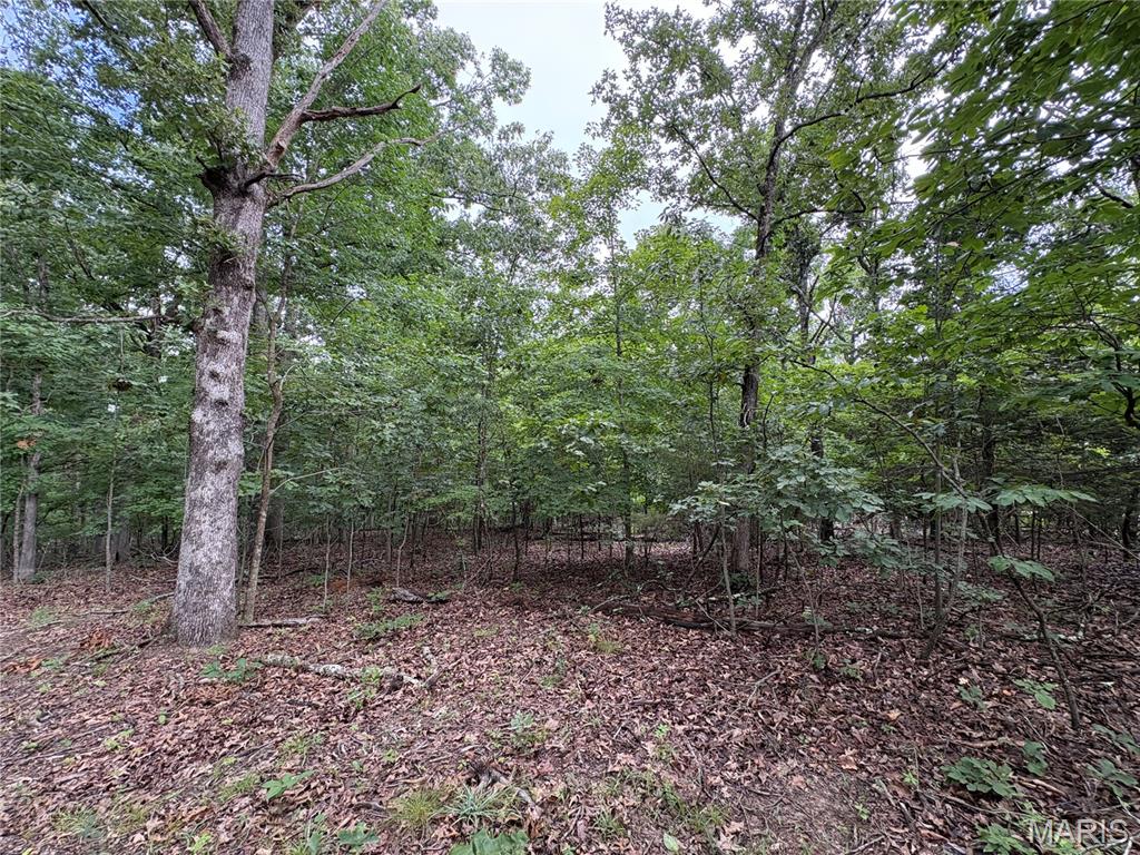 5029 Port Perry Drive Property Photo 2