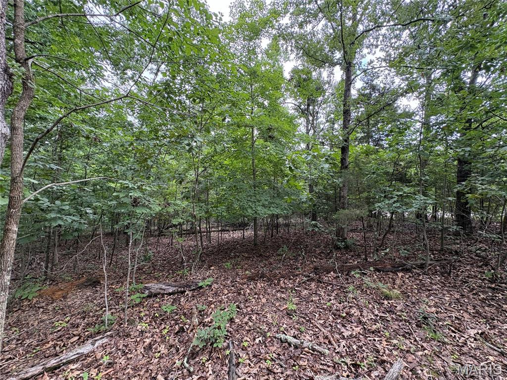 5029 Port Perry Drive Property Photo 3