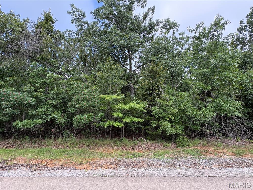 5029 Port Perry Drive Property Photo 4