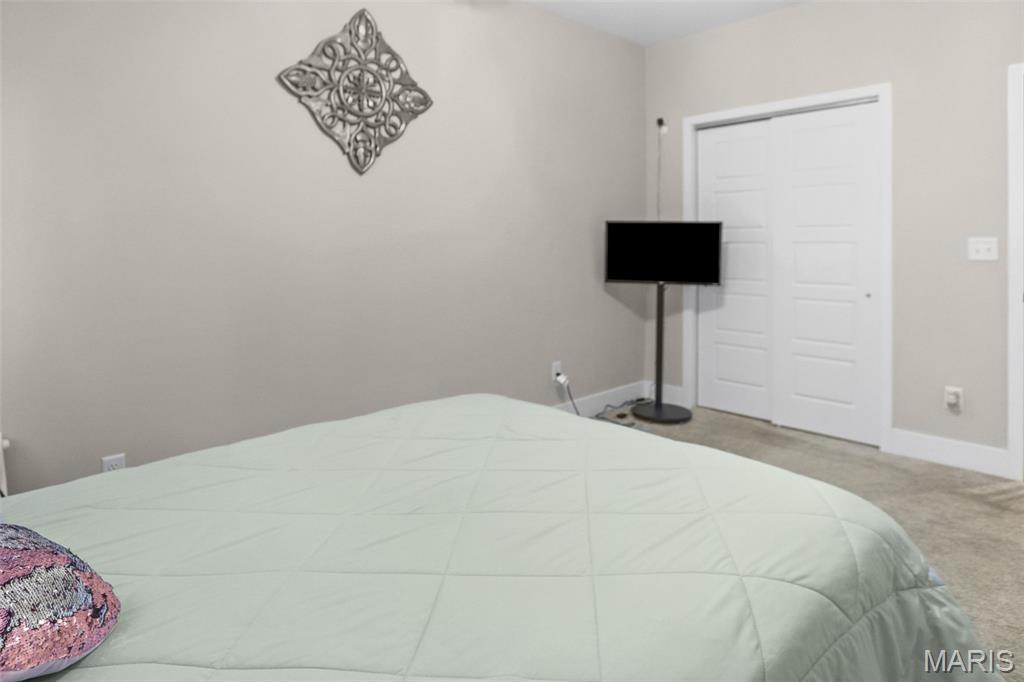 165 Stonebridge Bluff Drive Property Photo 36