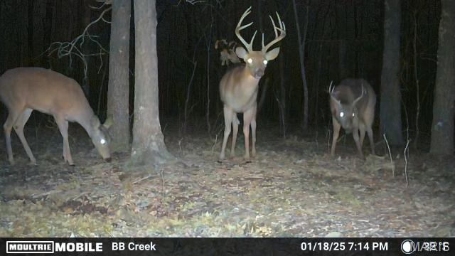2419 Bb Highway Property Photo 5