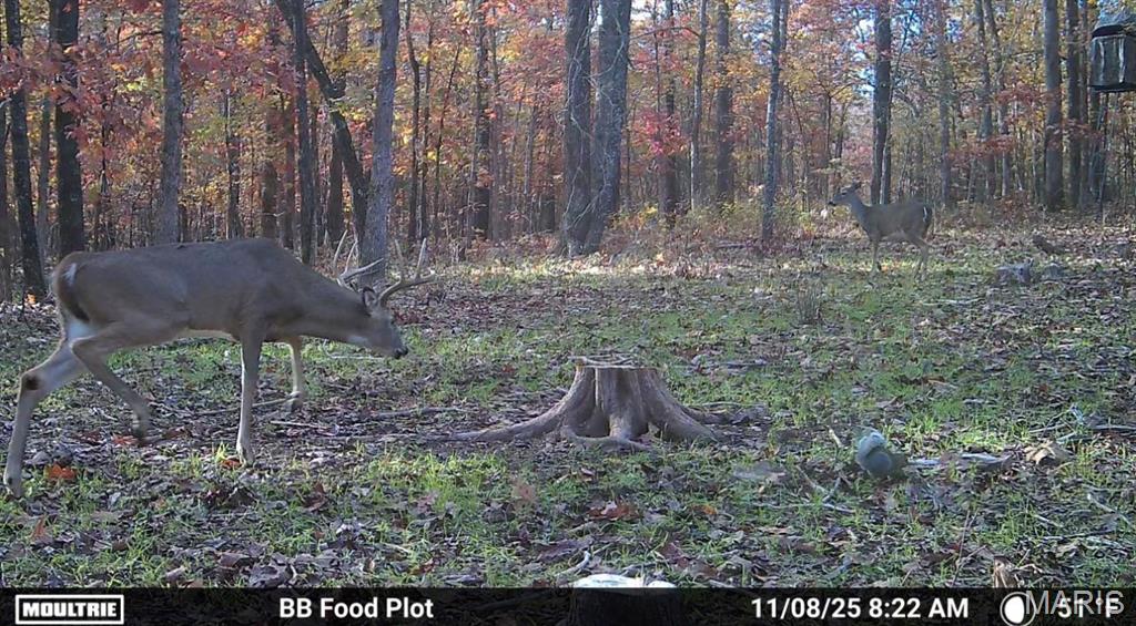 2419 Bb Highway Property Photo 6