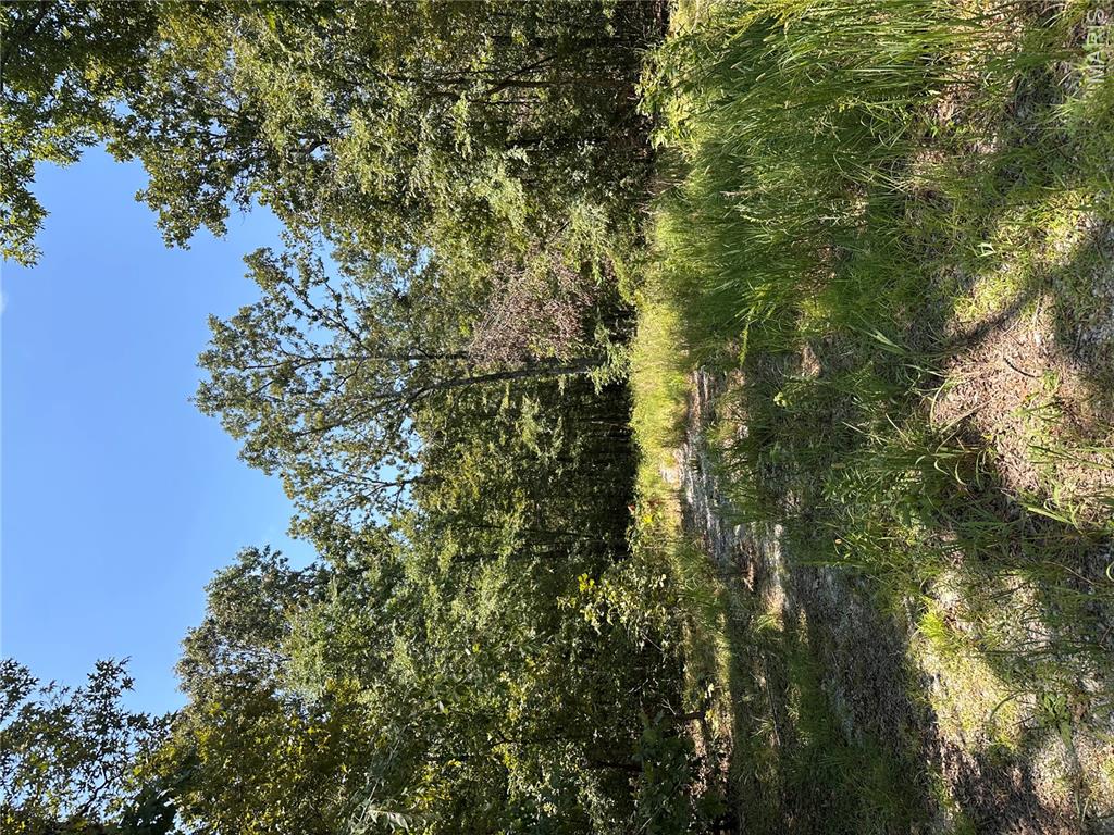 2419 Bb Highway Property Photo 11