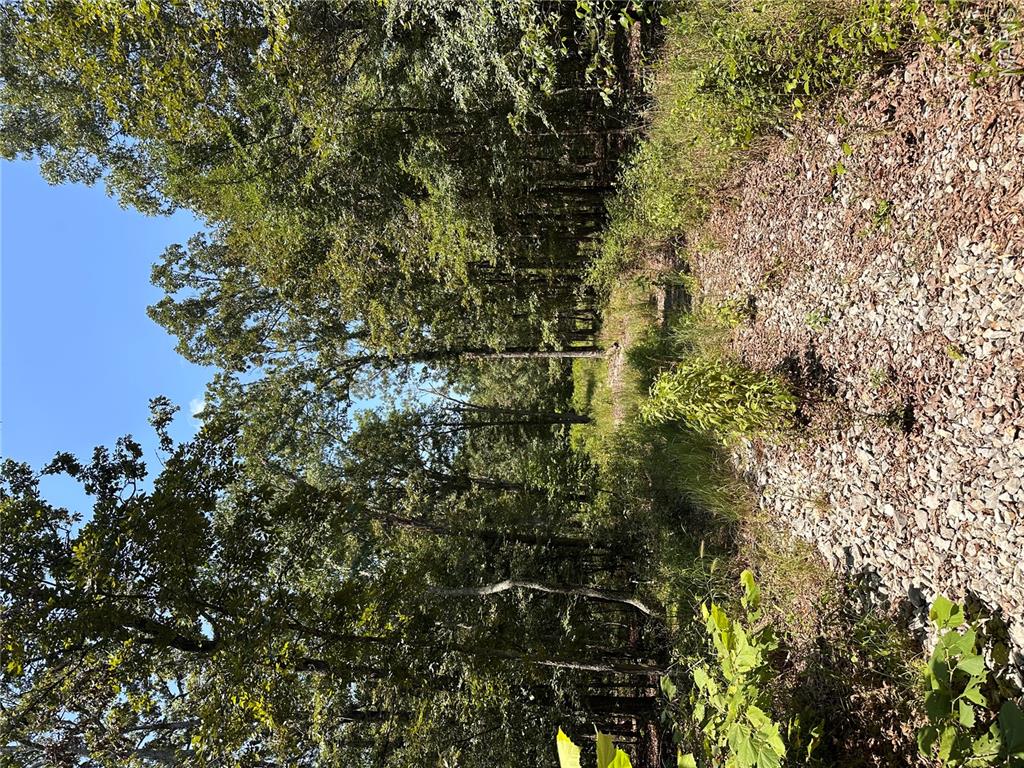 2419 Bb Highway Property Photo 12