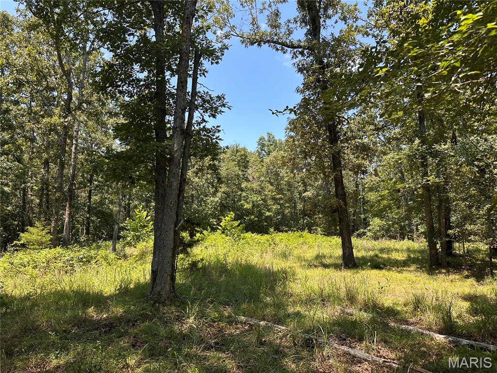2419 Bb Highway Property Photo 13