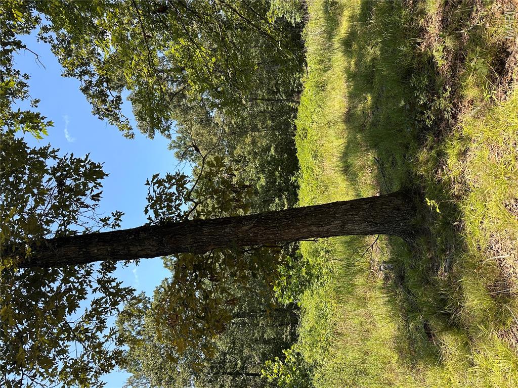 2419 Bb Highway Property Photo 15