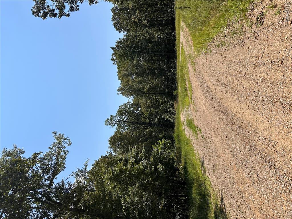 2419 Bb Highway Property Photo 18