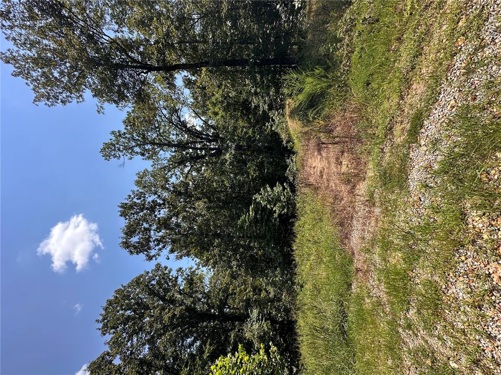 2419 Bb Highway Property Photo 19