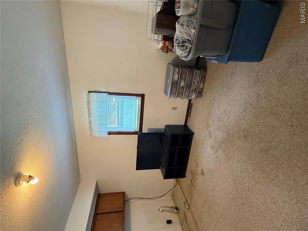 12376 Biram Drive Property Photo 14