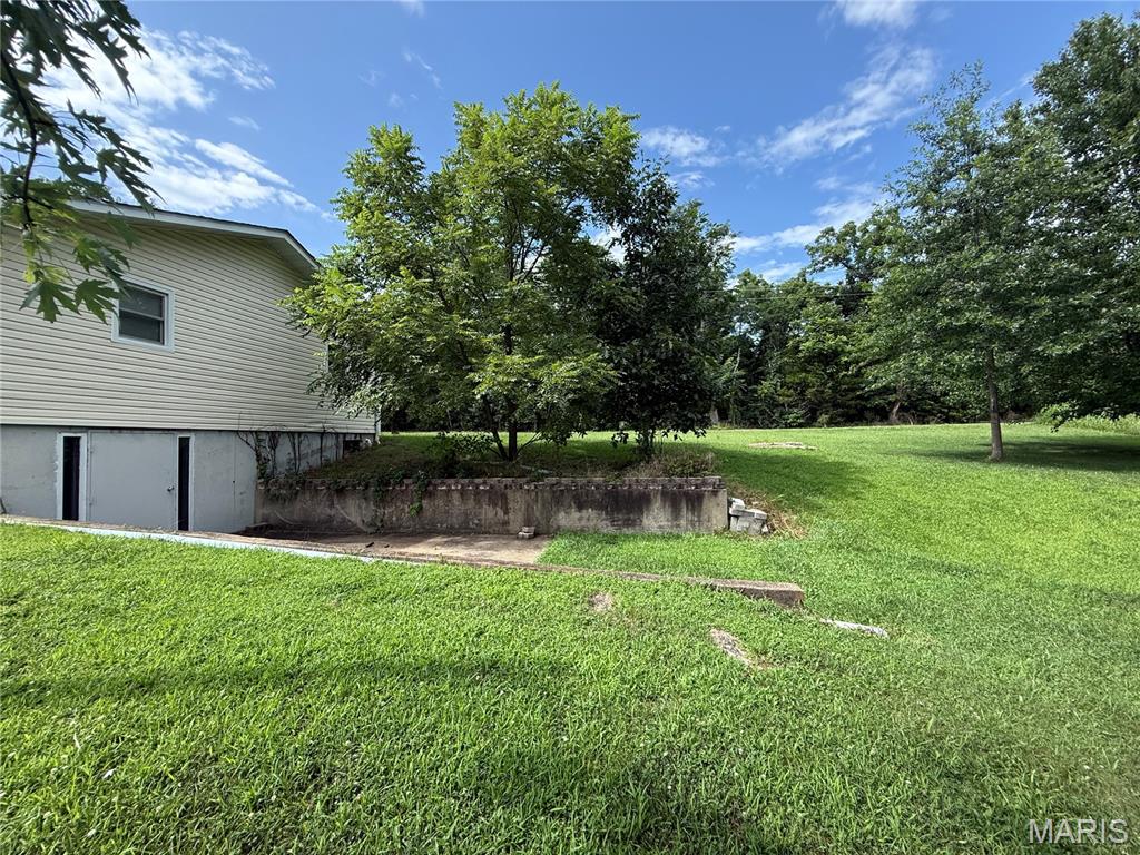 12376 Biram Drive Property Photo 28
