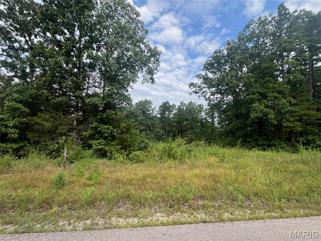 0 Grassy Hollow Road Property Photo 1