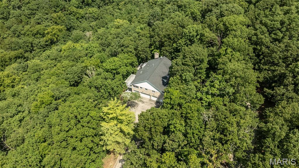 1423 Wills Hollow Road Property Photo 1