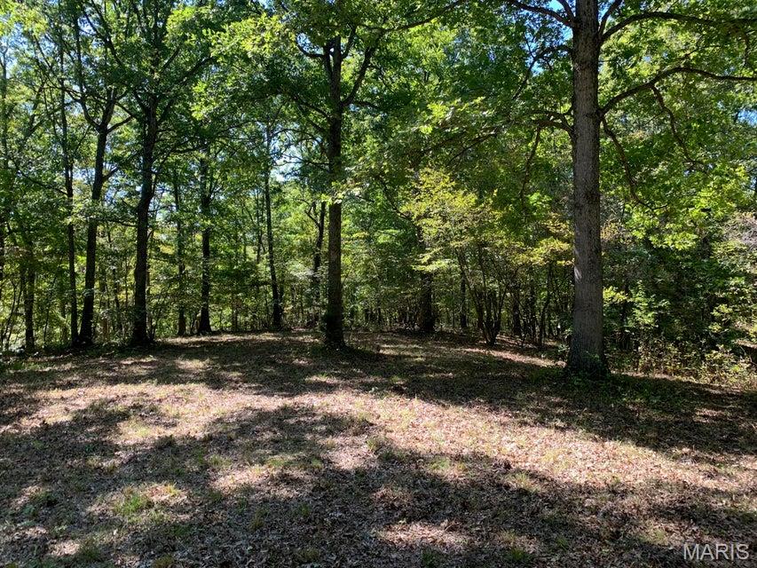Tbd Branch Road Property Photo 2