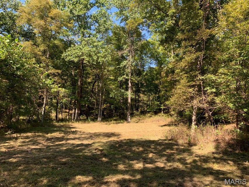 Tbd Branch Road Property Photo 3