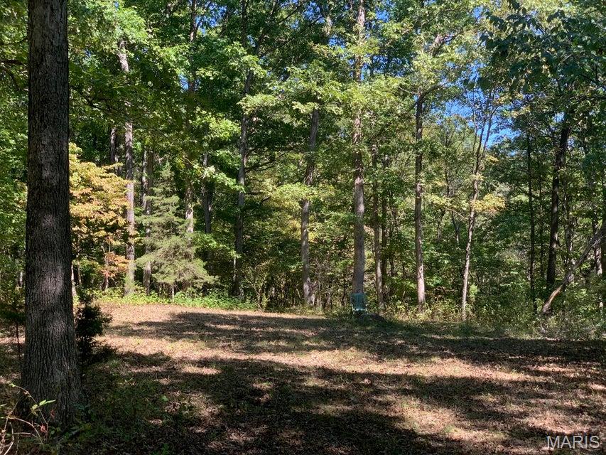 Tbd Branch Road Property Photo 4