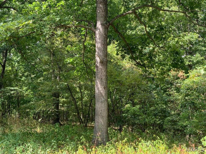 Tbd Branch Road Property Photo 6