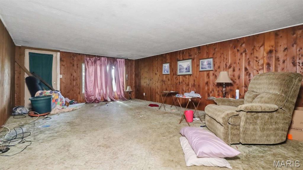 13994 Highway C Property Photo 6
