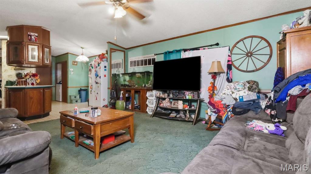 13994 Highway C Property Photo 21