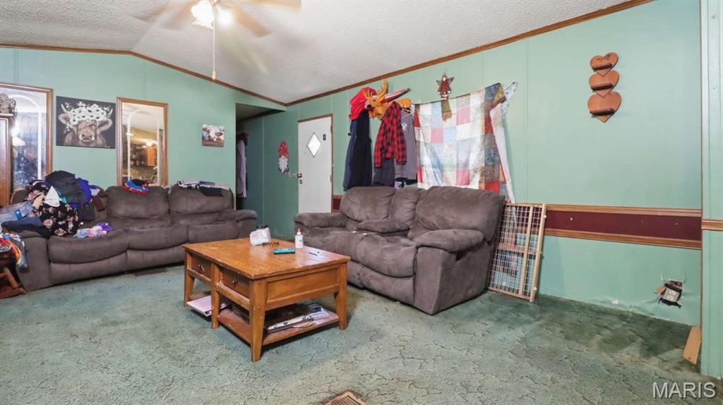 13994 Highway C Property Photo 22