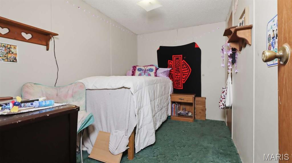 13994 Highway C Property Photo 24