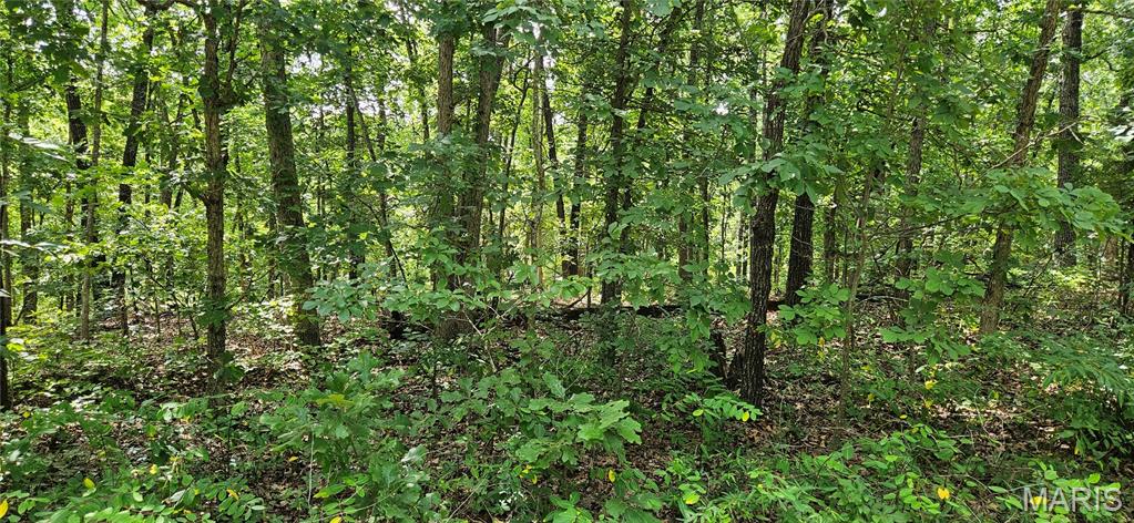 0 County Road 4050 Property Photo 1