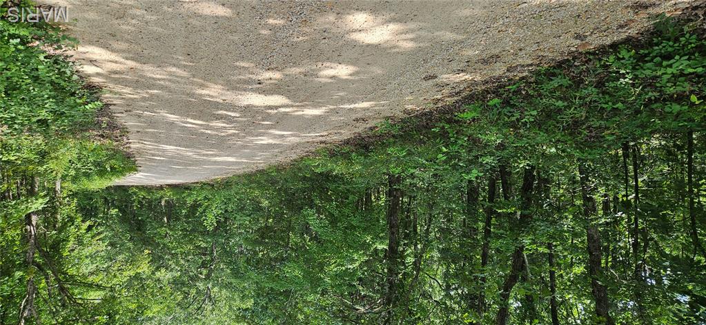 0 County Road 4050 Property Photo 2