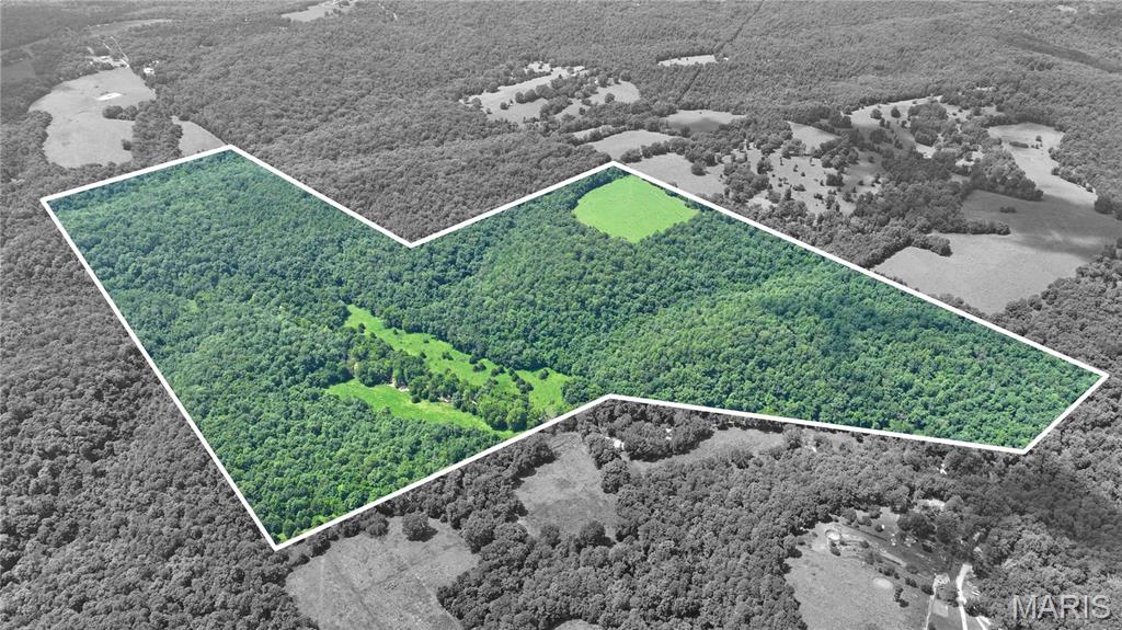 0 County Road 76-225 Property Photo 2