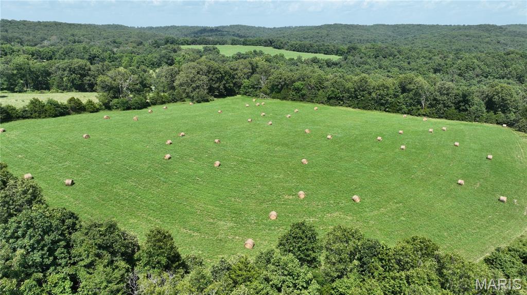 0 County Road 76-225 Property Photo 10