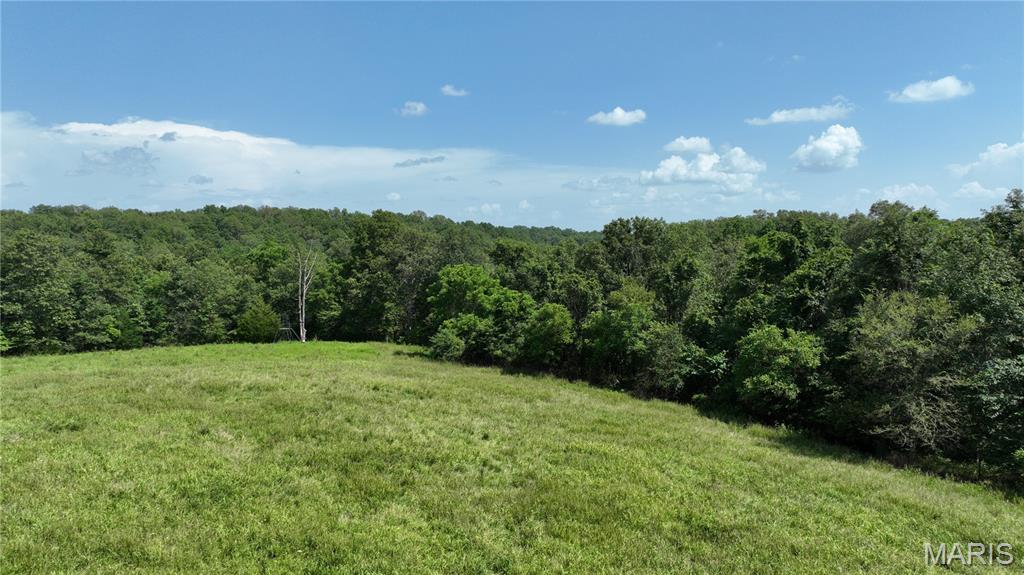 0 County Road 76-225 Property Photo 14