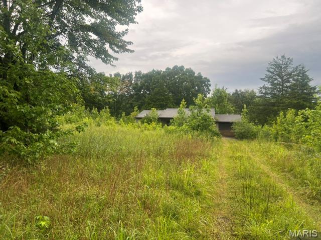 313 Snapping Turtle Lane
