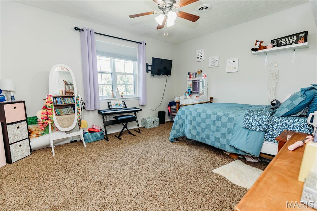 18943 Highway Y Property Photo 22