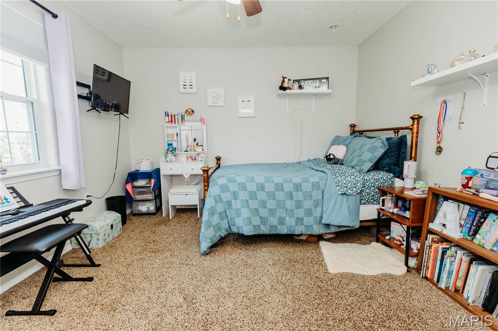18943 Highway Y Property Photo 23