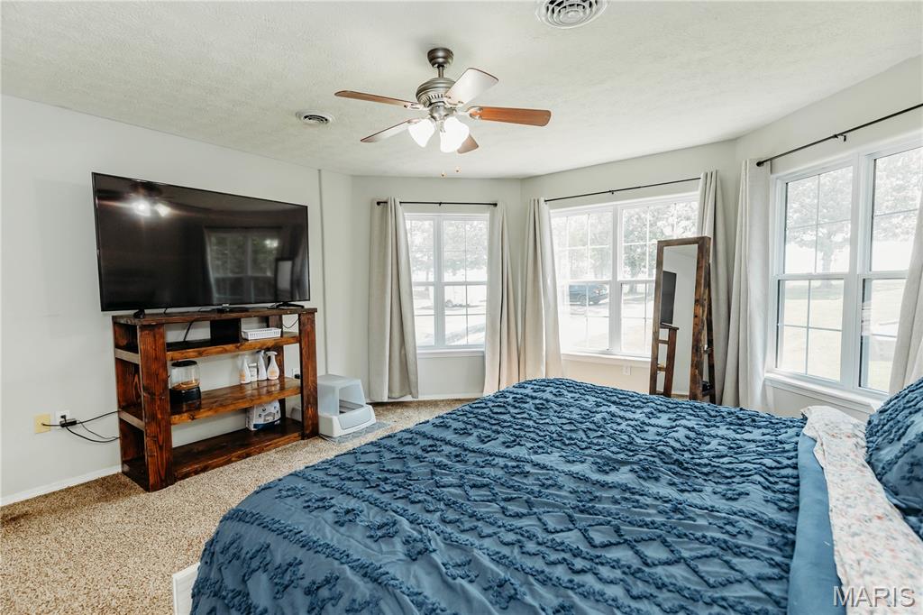 18943 Highway Y Property Photo 32