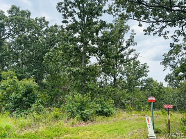 Lot 31 W Hickory Ridge Road