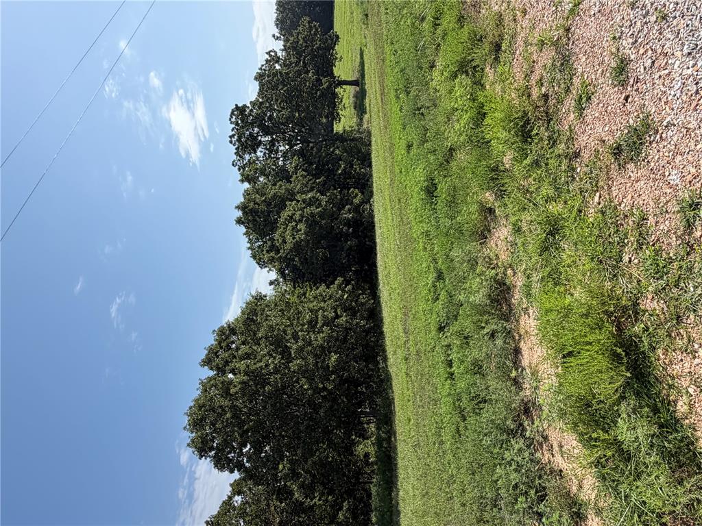 Tract 2 Ramsey Drive Property Photo 1