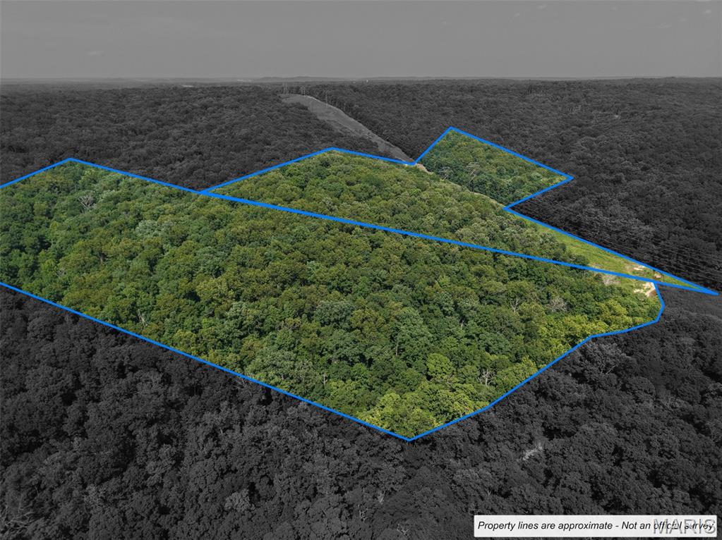 41 Acres Whittaker Road