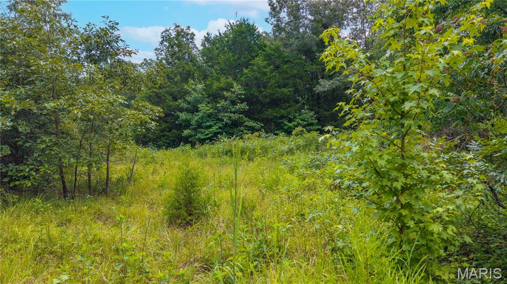 6499 Bcr 804 Bcr 804 Property Photo 43