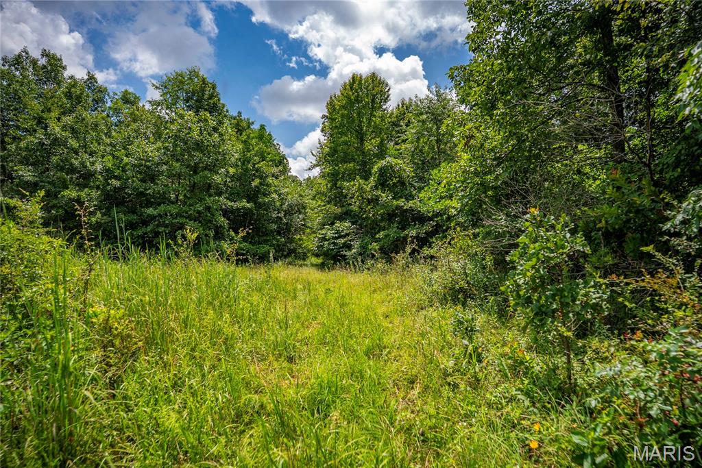6499 Bcr 804 Bcr 804 Property Photo 44