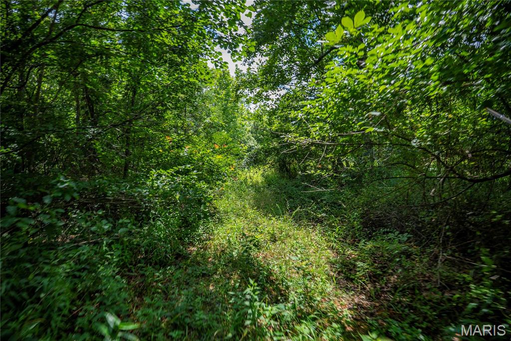6499 Bcr 804 Bcr 804 Property Photo 45