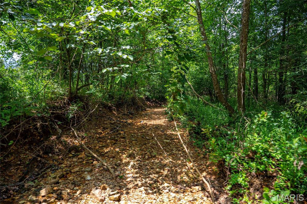 6499 Bcr 804 Bcr 804 Property Photo 46